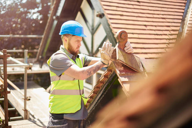 Best Roof Leak Repair  in Toro Nyon, CA